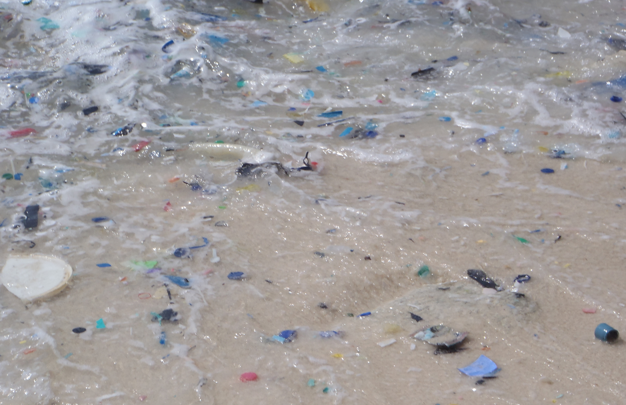 Plastic trash – it’s not all at sea - CSIRO