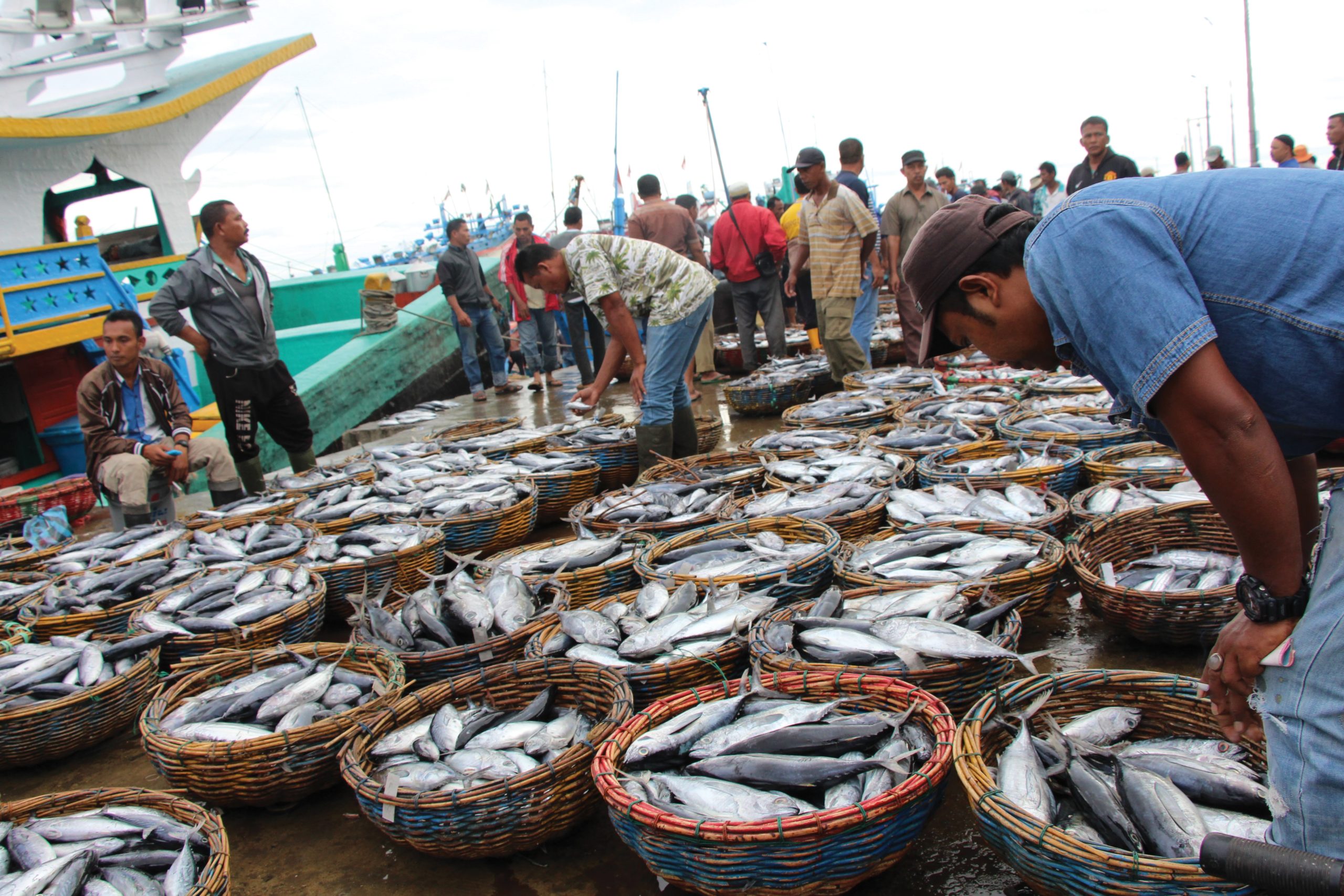 Supporting sustainable fishing in Indonesia – ECOS